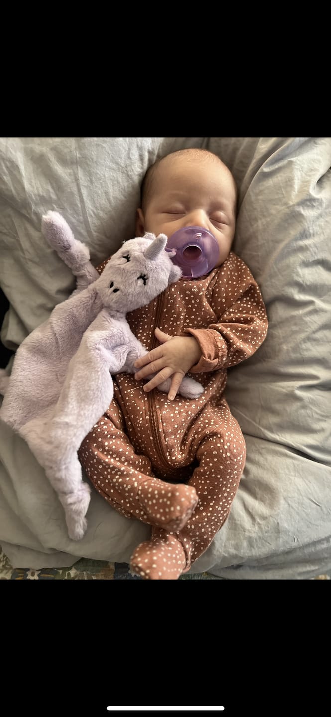 Customer photo review of Pacifier Buddy Luna the Unicorn