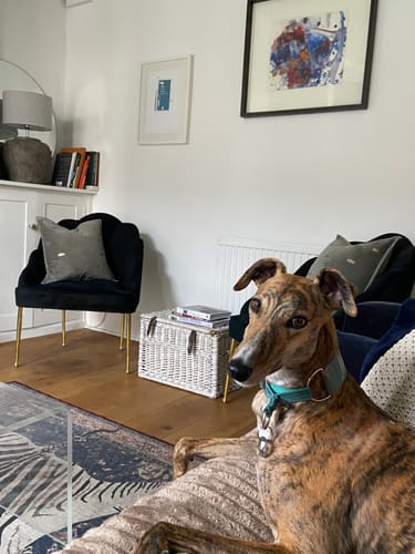 Customer photo review of Fabric Paint -- Dark Blue