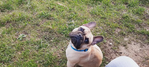 Customer photo review of Relax Time