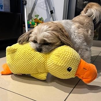 Customer photo review of Pfotenwiese - Anti Stress Ente