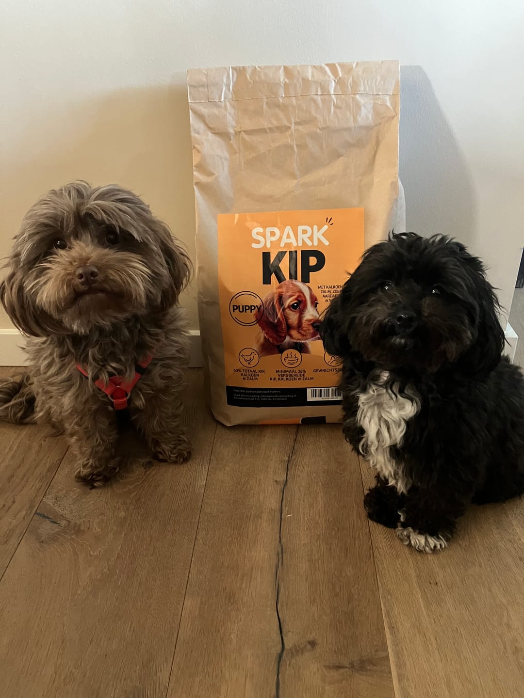 Customer photo review of Puppy - Kip met Kalkoen, Zalm, Zoete Aardappel & Wortel