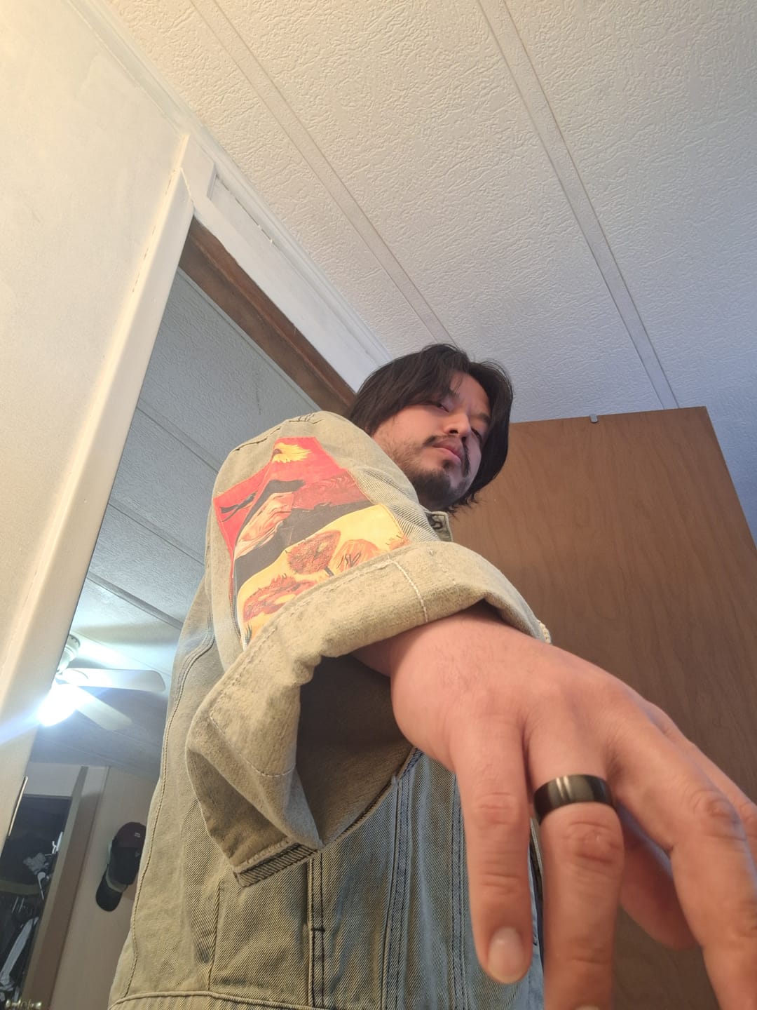 Customer photo review of Van Gogh Denim Jacket