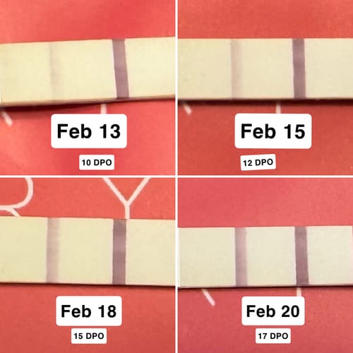 Customer photo review of Pregnancy Test Strips (Ultra-Sensitive)