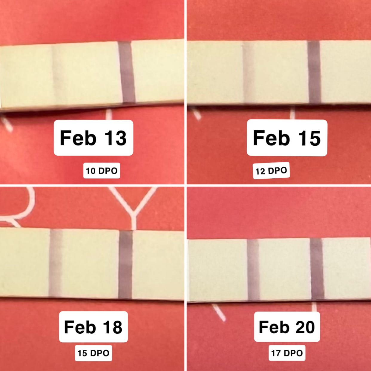 Customer photo review of Pregnancy Test Strips (Ultra-Sensitive)