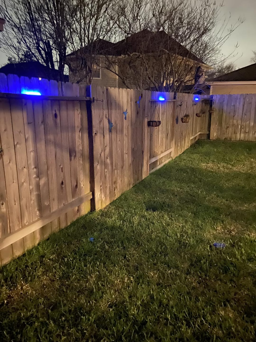 Customer photo review of 7 Colors Solar Deck Light Outdoor Dock Light