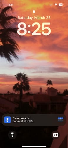 Customer photo review of More Sangria Please Press On Nails (24PC)