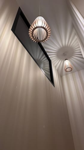 Customer photo review of Duo Andromède