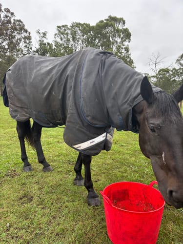 Customer photo review of Rhino Plus HexStop 100g - Seconds