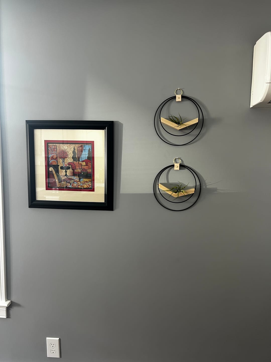 Customer photo review of Air Plant V-Hanger Duo