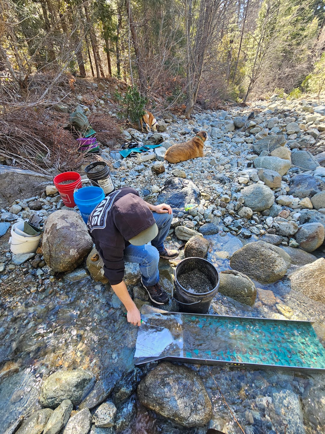 Customer photo review of 10X36 Dredge Dream Mat