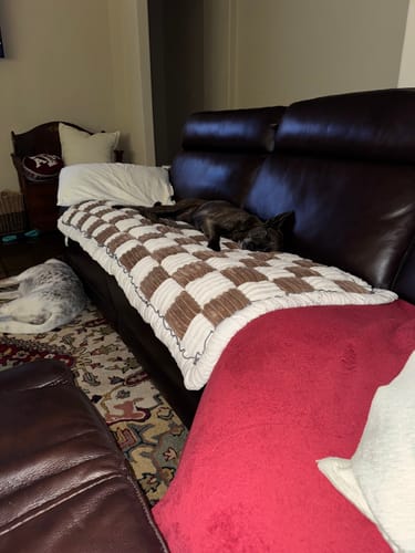 Customer photo review of NEW 2-in-1 Furniture Protector & Dog Bed Couch Cover with Thick Orthopedic Padding, Non-Slip Grip, Scratch-Resistant Surface & Machine-Washable Fabric