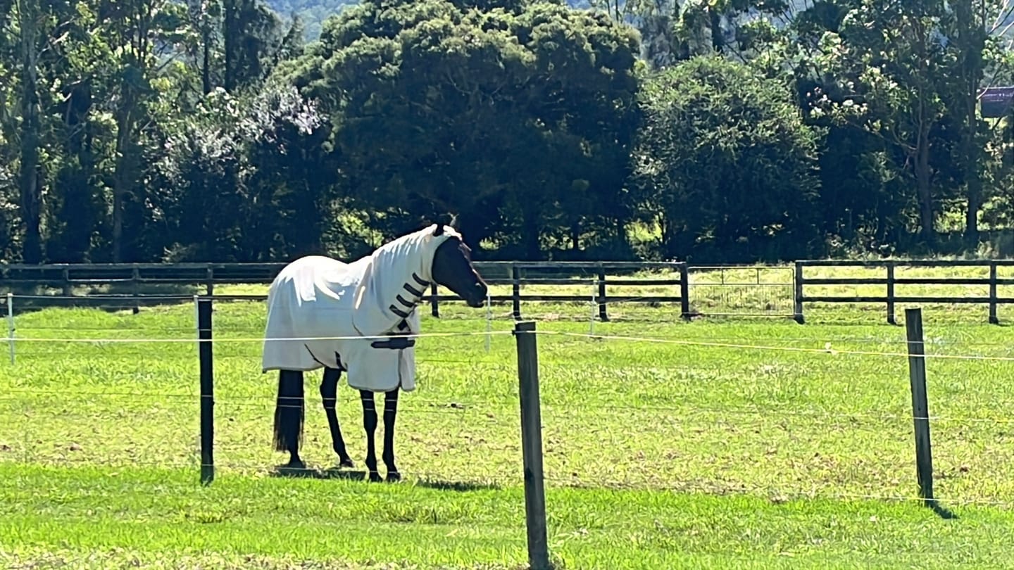 Customer photo review of Amigo Ripstop Hoody