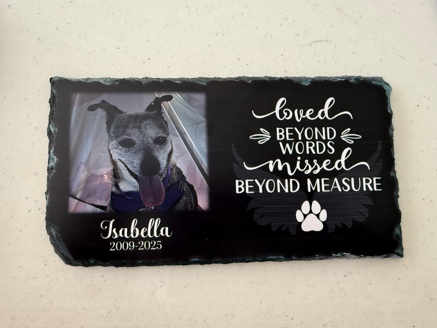 Customer photo review of Personalized Dog Memorial   Loved Beyond Words Missed Beyond Measure  Personalized Picture Keepsake