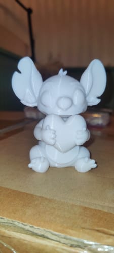 Customer photo review of Anycubic Kobra S1 Combo
