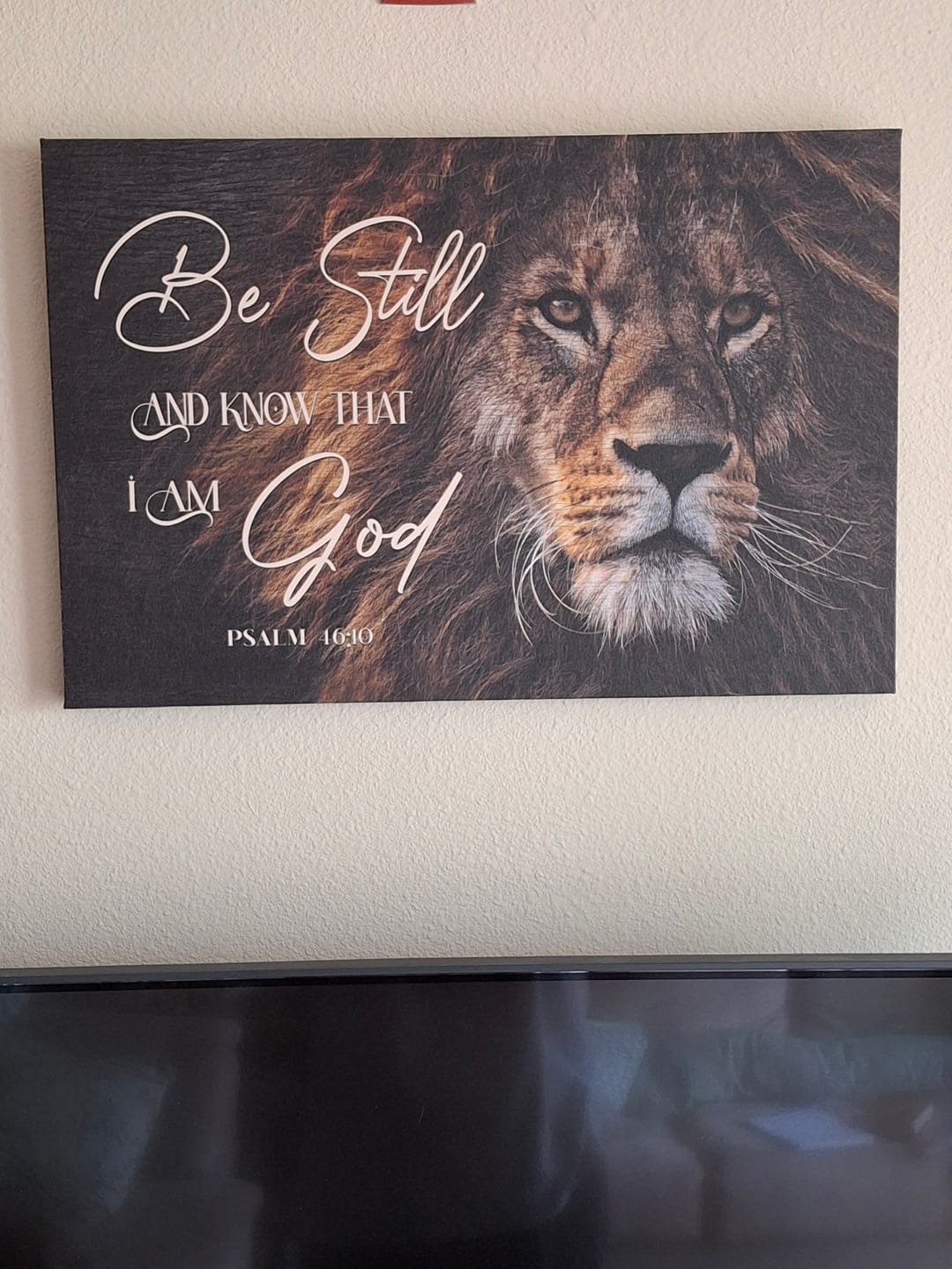 Customer photo review of Be Still And Know That I Am God, Lion Of Judah, Christian Wall Art Canvas