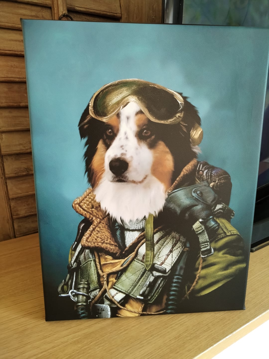 Customer photo review of Portrait Chien Pilote