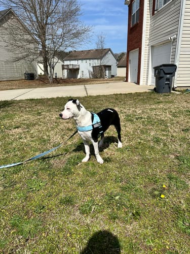 Customer photo review of Signature Kit - Sky Blue