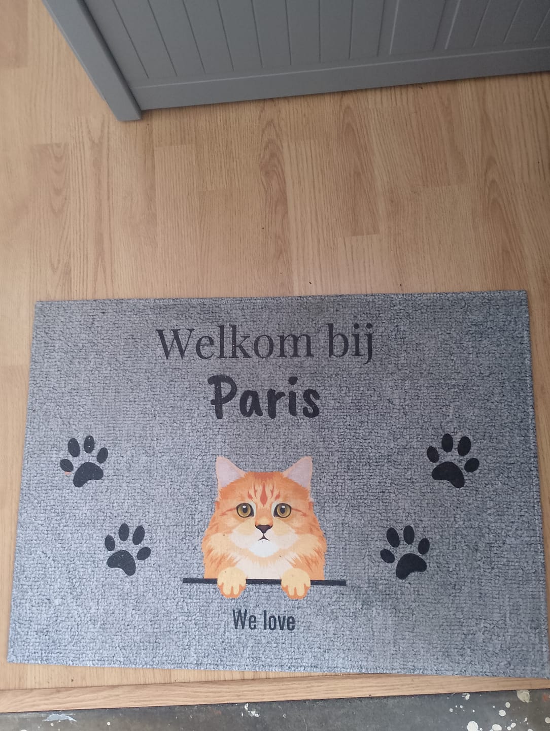 Customer photo review of Welkom bij - Gepersonaliseerde huisdier deurmat