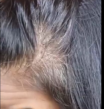Customer photo review of Veda Natural Hair Colours