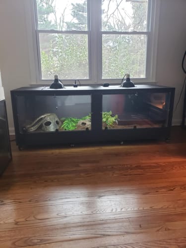 Customer photo review of Casters