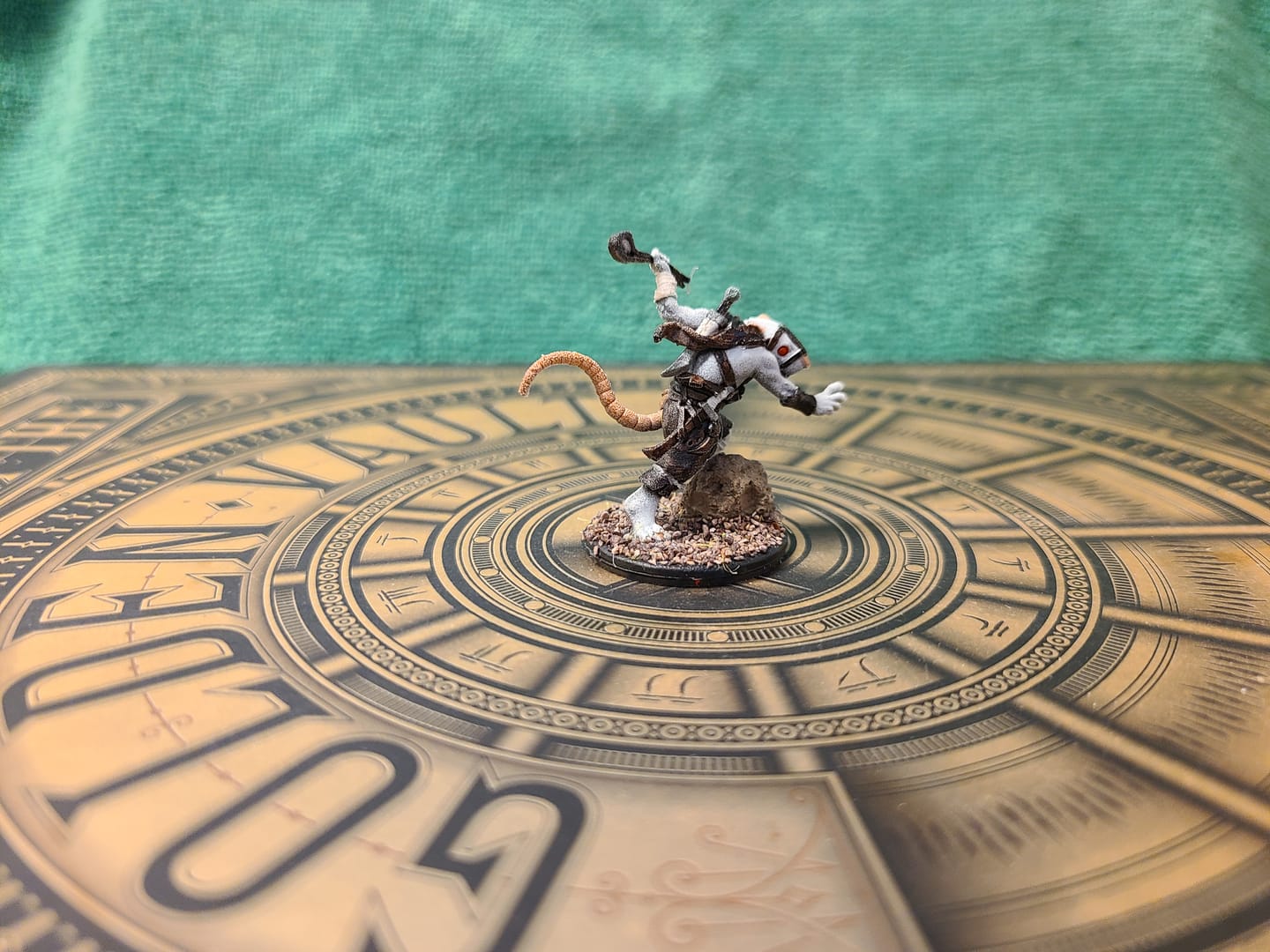 Customer photo review of Ratfolk NightRunner