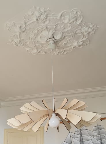 Customer photo review of Aurora | Suspension