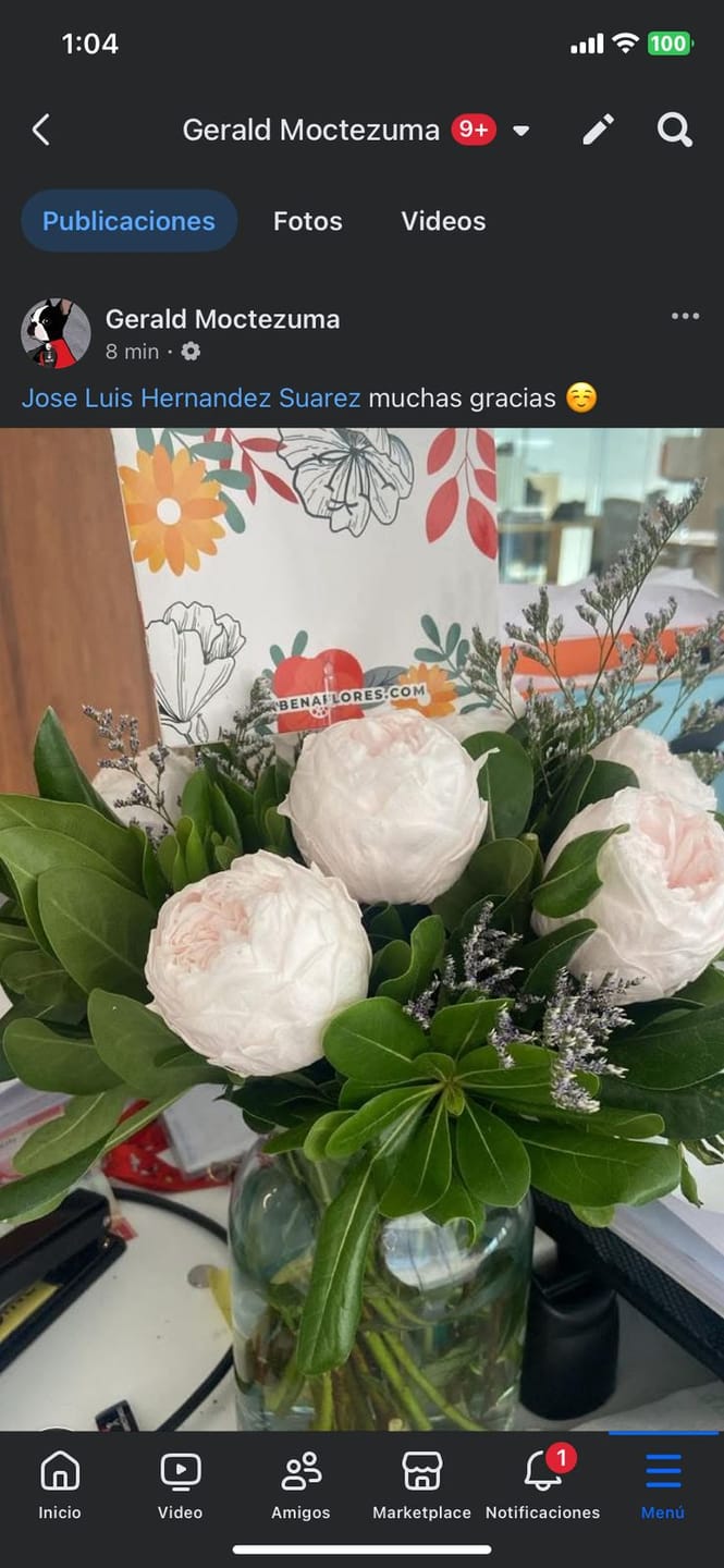 Customer photo review of Limonada Rosa - Peonia Eterna Rosa