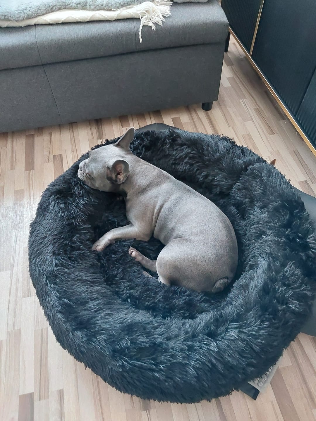 Customer photo review of Hundebett Belune® - Das Original