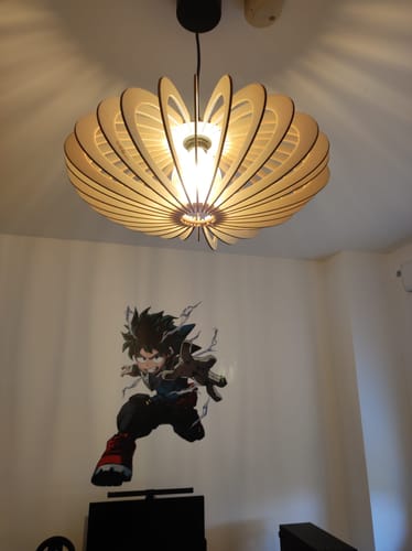 Customer photo review of Mini NEO | Suspension