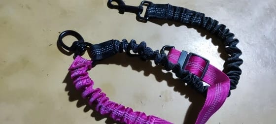 Customer photo review of Dual Dog Leash Attachment -  Shock Absorbing Adjustable Strap