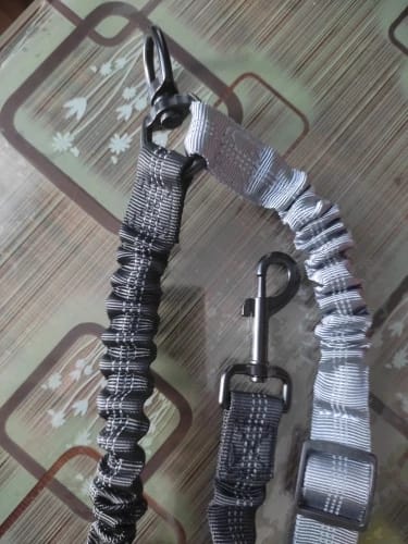 Customer photo review of Dual Dog Leash Attachment -  Shock Absorbing Adjustable Strap
