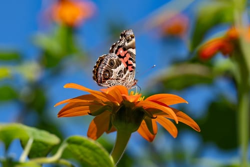 Customer photo review of 11x14 Photo Prints