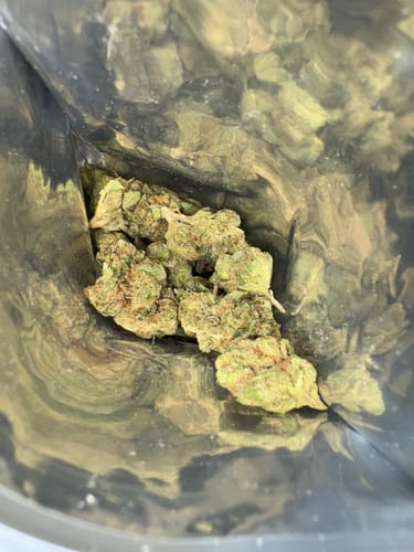 Customer photo review of Granddaddy Purple - 14 Grams (Indica)