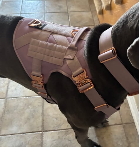 Customer photo review of HNTR 3.0 Dog Harness - Sofia