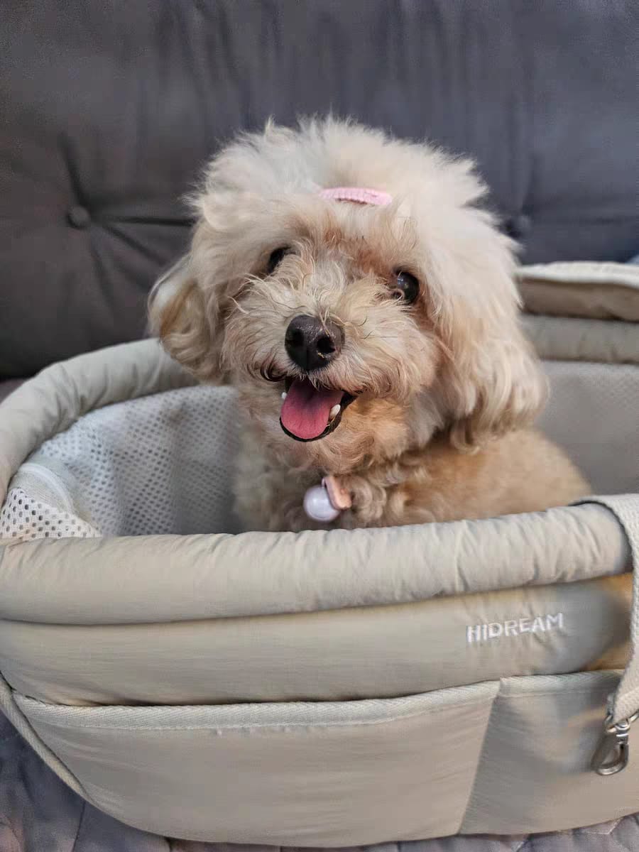 Customer photo review of SoftNest Lightweight Labor-Saving Sling Carrier Bag for Pets