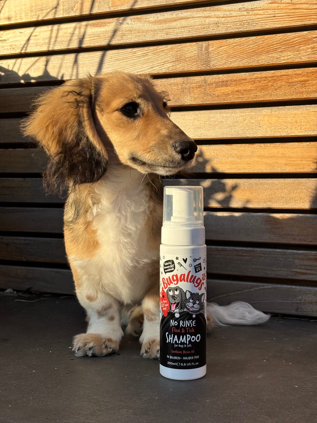 Customer photo review of No Rinse Flea & Tick  Shampoo for Dogs & Cats