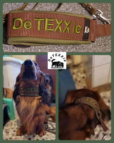 Customer photo review of Neoprene Martingale Dog Collar with Name - XS/S | 4Kyon