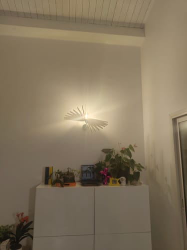 Customer photo review of Albatros | Applique