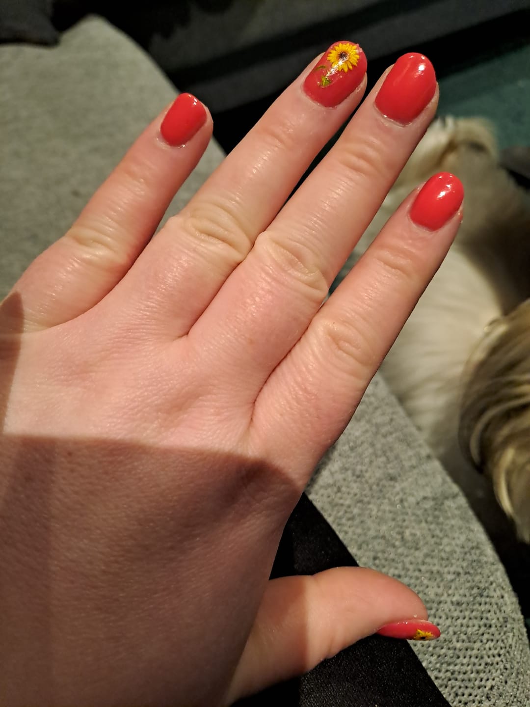 Customer photo review of Cerise Dipping Powder