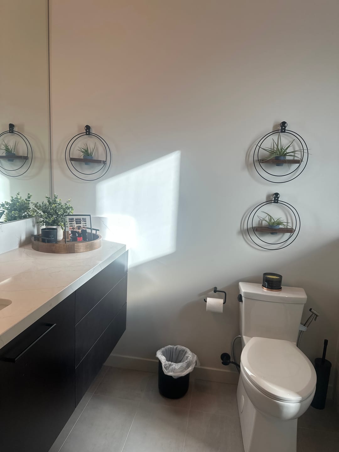 Customer photo review of Air Plant Shelf + Pot