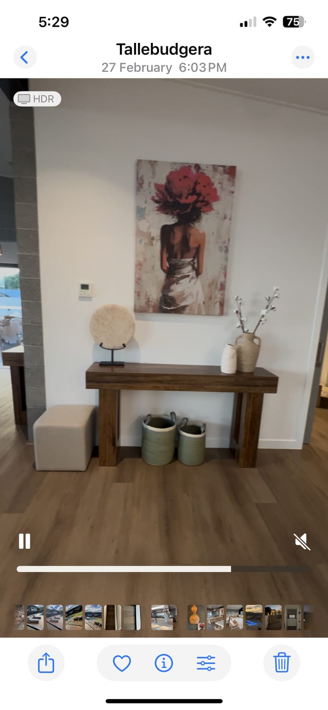 Customer photo review of DESIRE I CANVAS