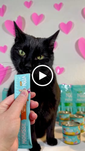 Customer video review of Variety Pack Mousse Treats recipes, Pack of 24 Tubes