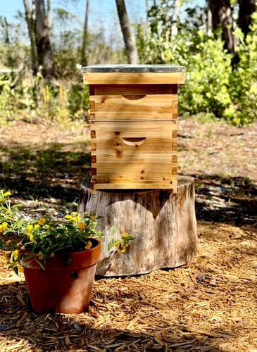 Customer photo review of MayBee Hives 8 Frame 2 Layer Cedar Wood Langstroth Beehive Include 1 Deep Brood Box,1 Honey Super Bee Box.Complete Beehive Kit For Beekeeper(NO LOGO)