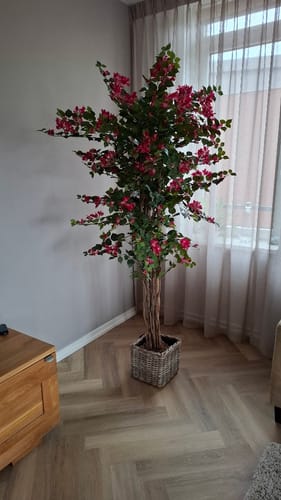 Customer photo review of Bougainvillea Kunstplant 180cm