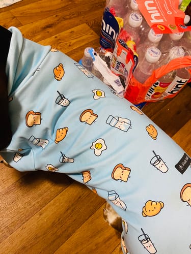 Customer photo review of Dog Pajama Prints
