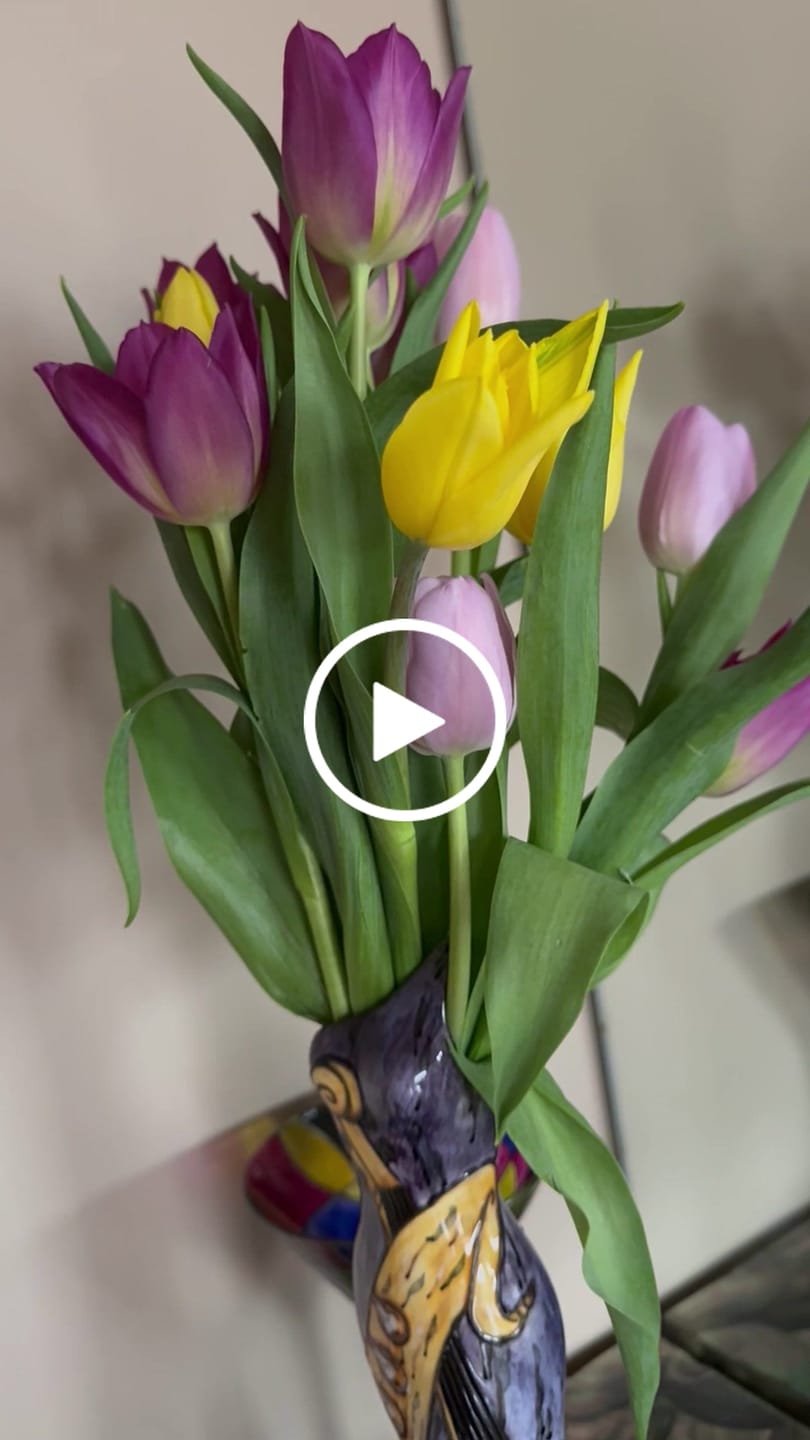 Customer video review of Sprung