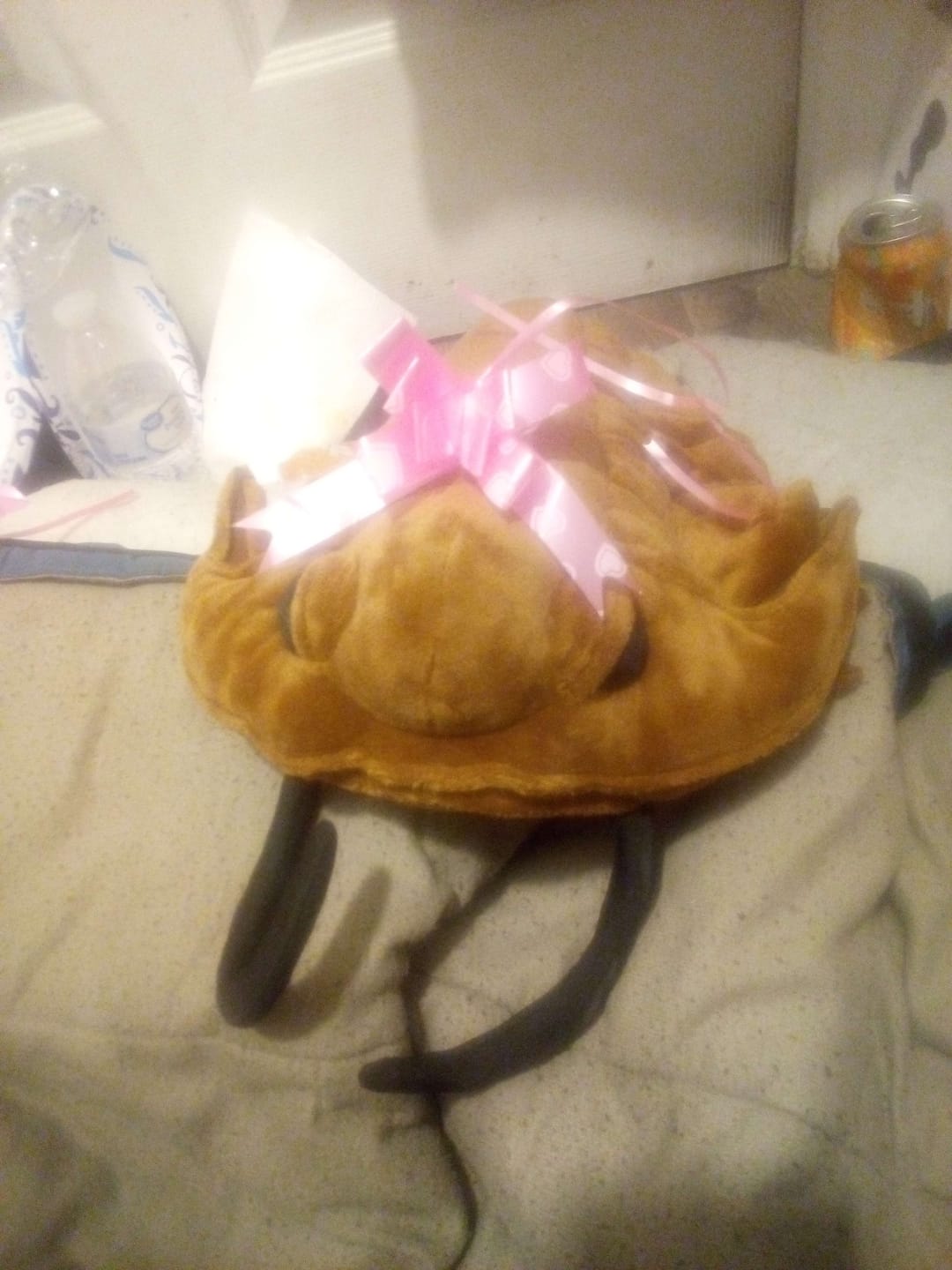 Customer photo review of Trilobite Arthropod Soft Stuffed Plush Toy