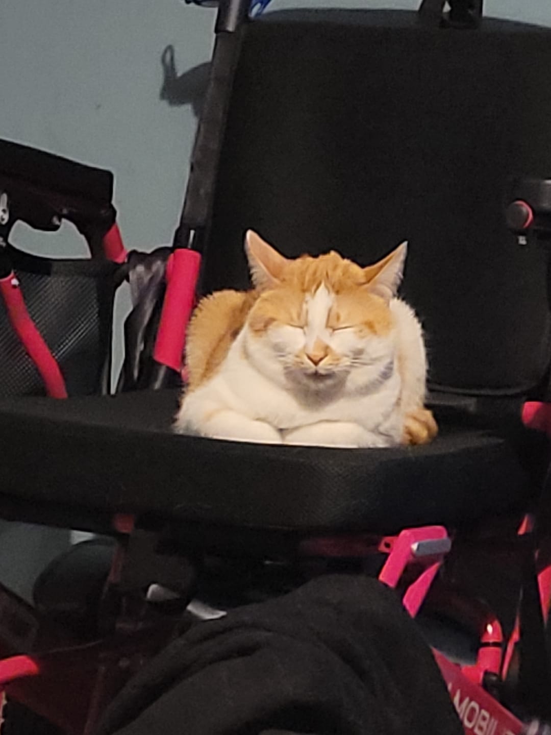 Customer photo review of Limited Edition Pink Lightweight Electric Wheelchair | Freedom Pro ST