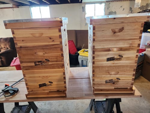 Customer photo review of MayBee Hives 10 Frame Complete Cedar Wood Beehive Kits Include: 2 Deep Bee Boxes And 1 Super Bee Box with Pine Wooden Frame And Beeswax Coated Plastic Foundation