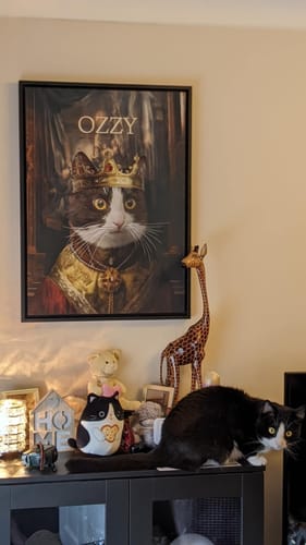 Customer photo review of The Spoiled Prince – Custom Pet Canvas